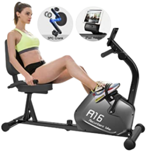 best recumbent exercise bike
