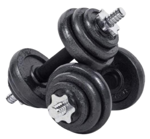 best adjustable dumbbells