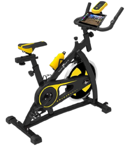 best exercise bike to lose weight