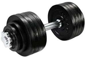 best adjustable dumbbells